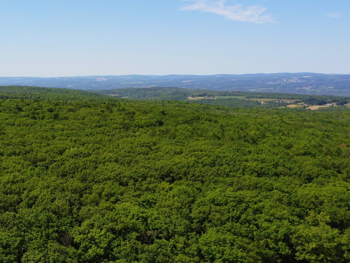 An aerial view of forested land with hills in the distance