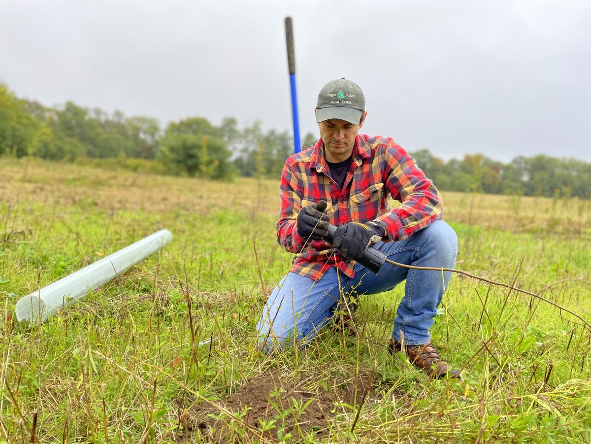 A person planting a tree