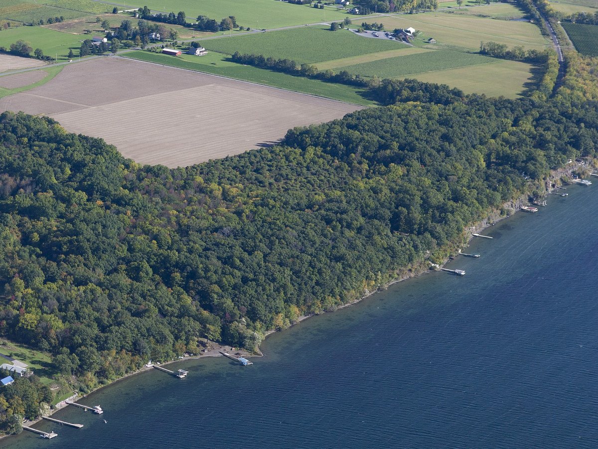 An aerial view of forested shoreline and a lake with farmland in the distance
