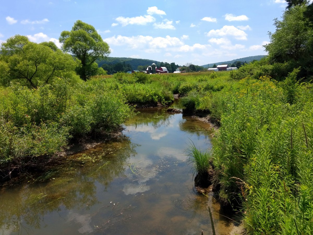 A creek with farm buildings in the distance