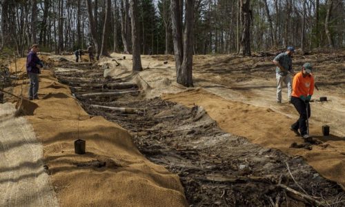 People working on a stream restoration project