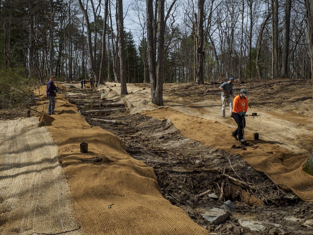 People working on a stream restoration project