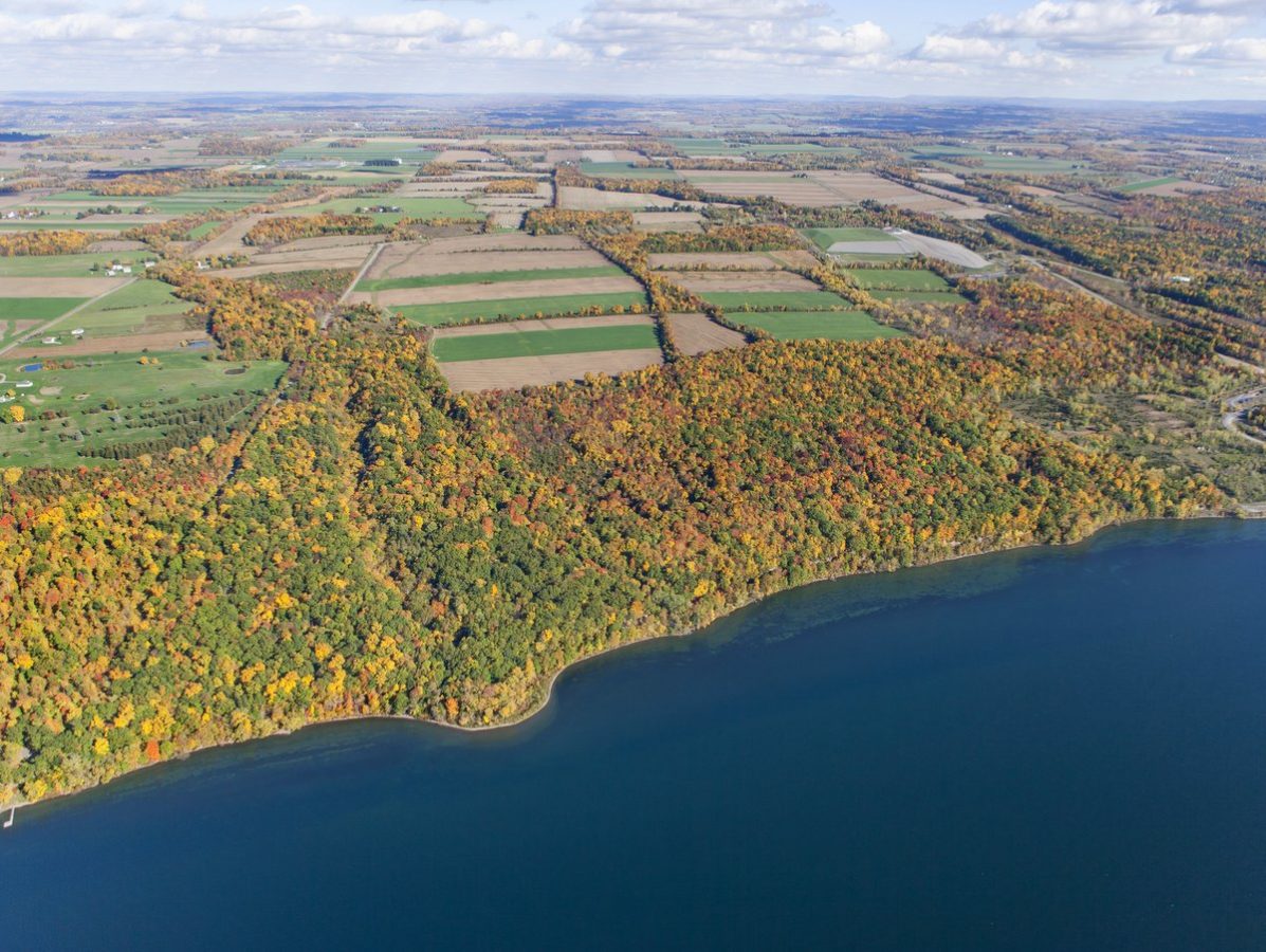 An aerial view of farmland and forested shoreline with a lake in the foreground