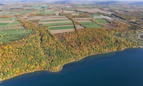 An aerial view of farmland and forested shoreline with a lake in the foreground