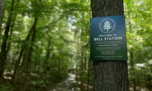 A sign on a tree that says Bell Station