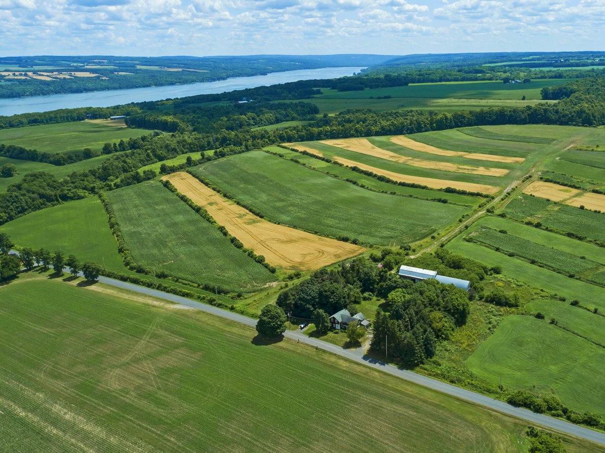 An aerial view of farmland with a lake in the distance