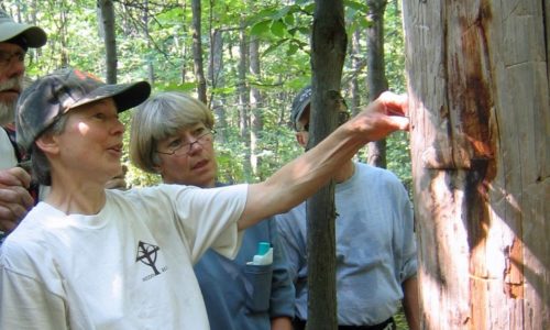 Linda Spielman discussing signs of wildlife