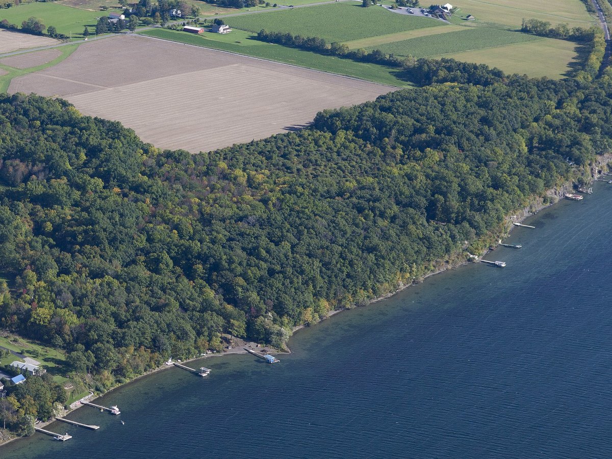 An aerial view of farmland and forested lakeshore with a lake in the foreground