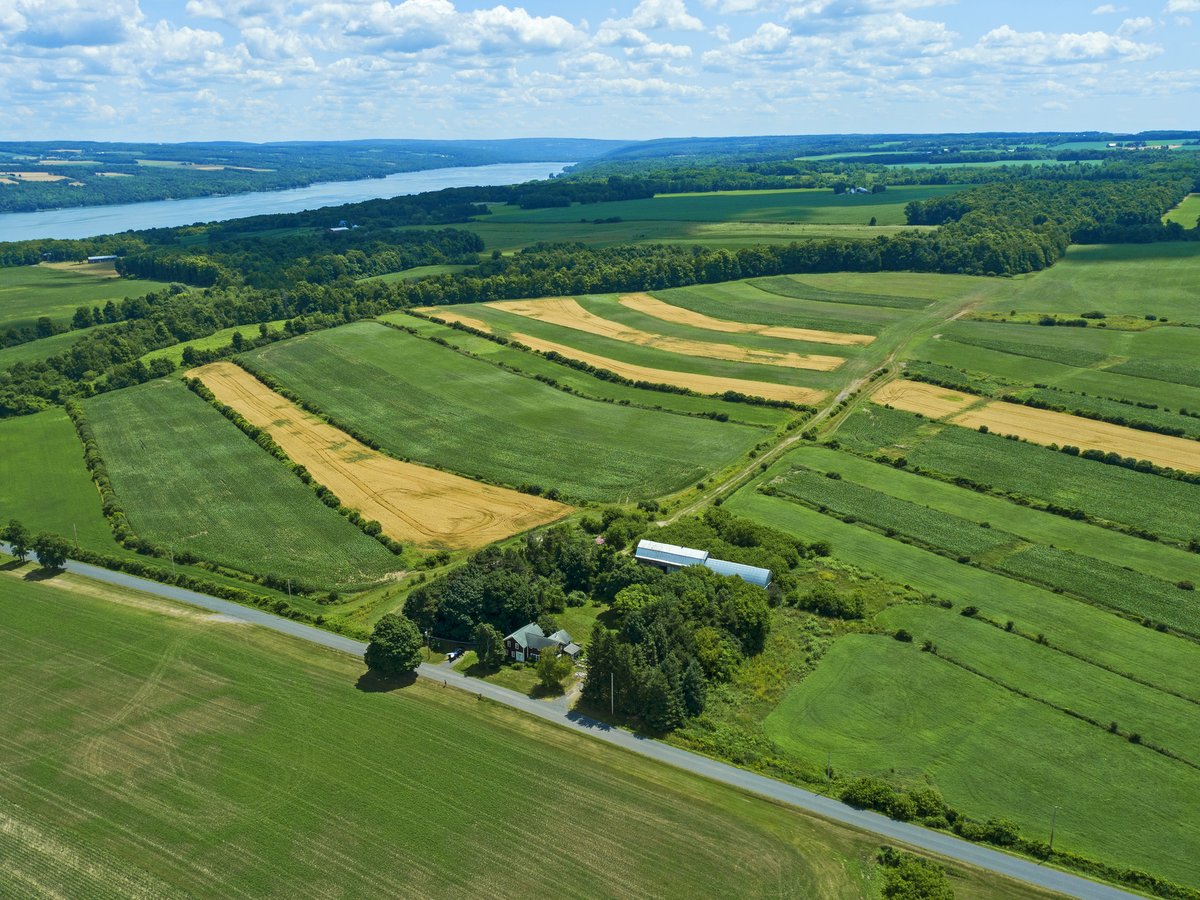 An aerial view of farmland with a lake in the distance