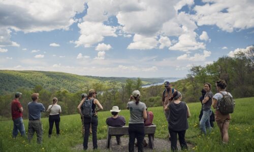 A group of people standing in a meadow looking at a lake