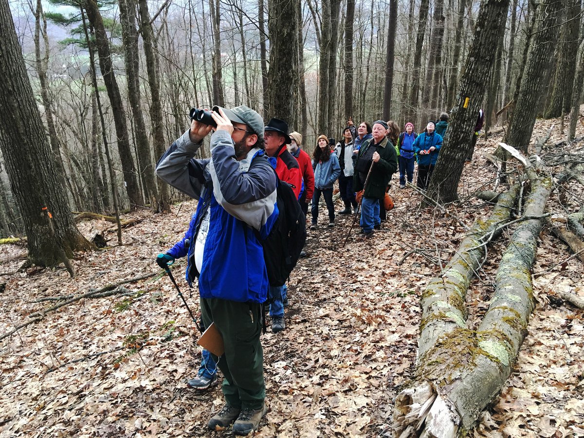 A group of people birding in the woods