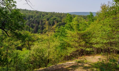 A view of surrounding hills