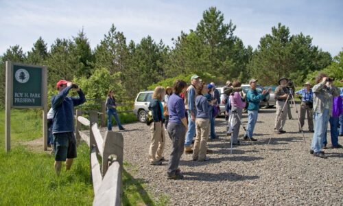 A group of people birding