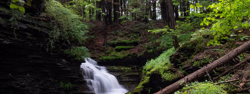 A waterfall surrounded by green vegetation and trees