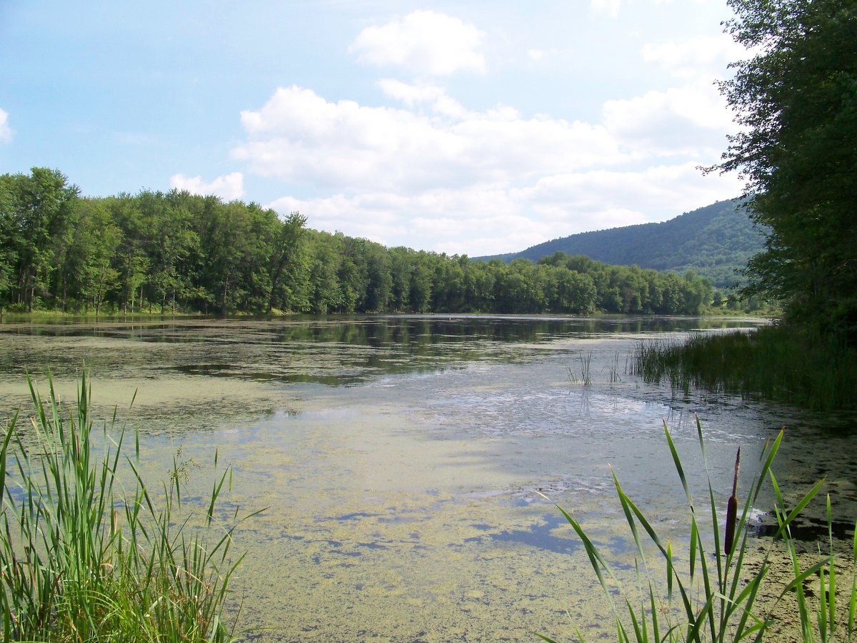 A pond surrounded by green hills