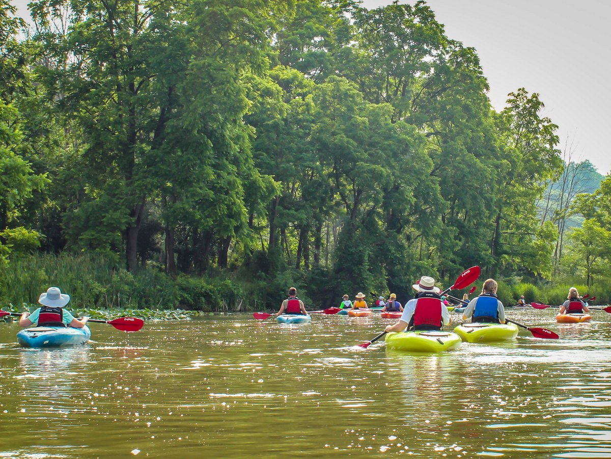 A group of people kayaking on a lake