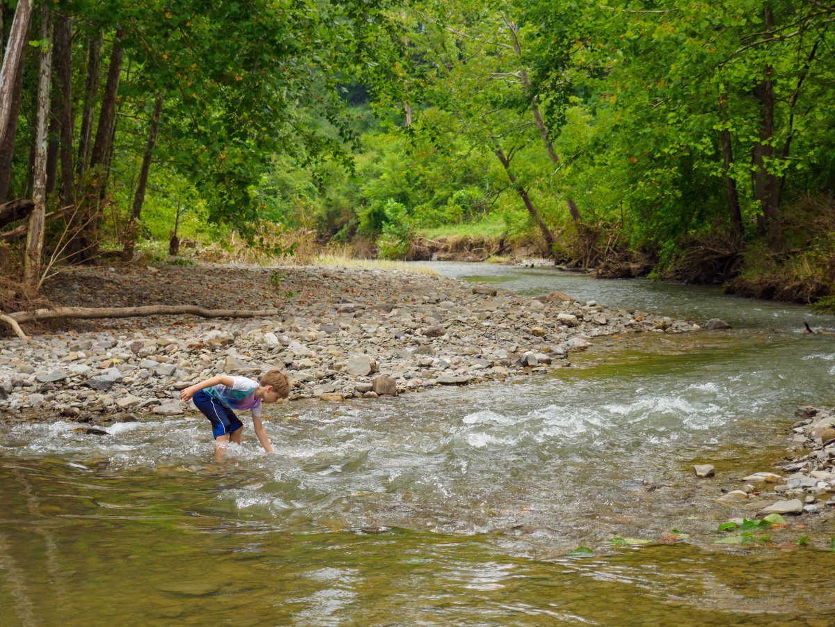 A young boy playing in a creek