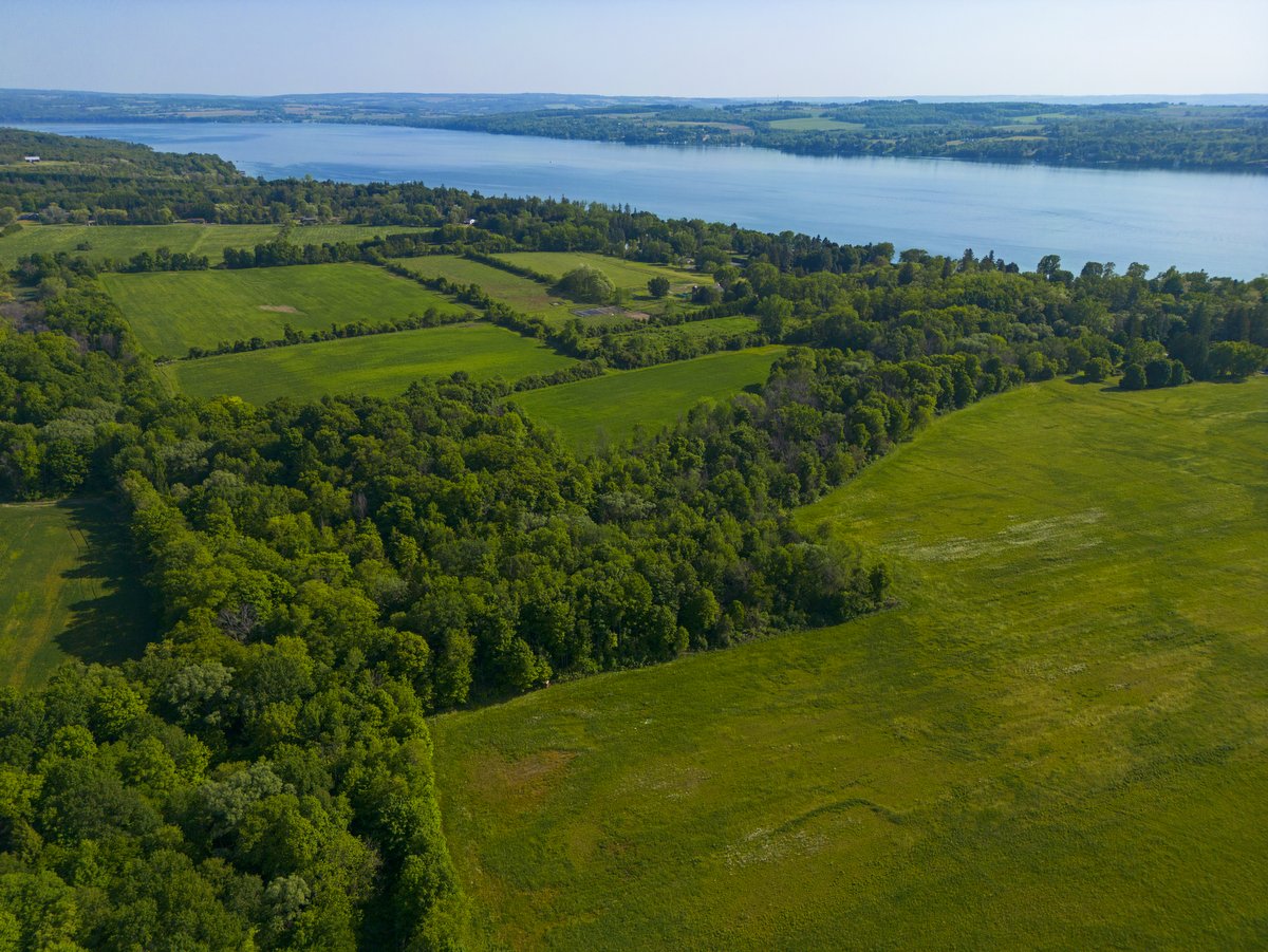 An aerial view of a lake and farmland