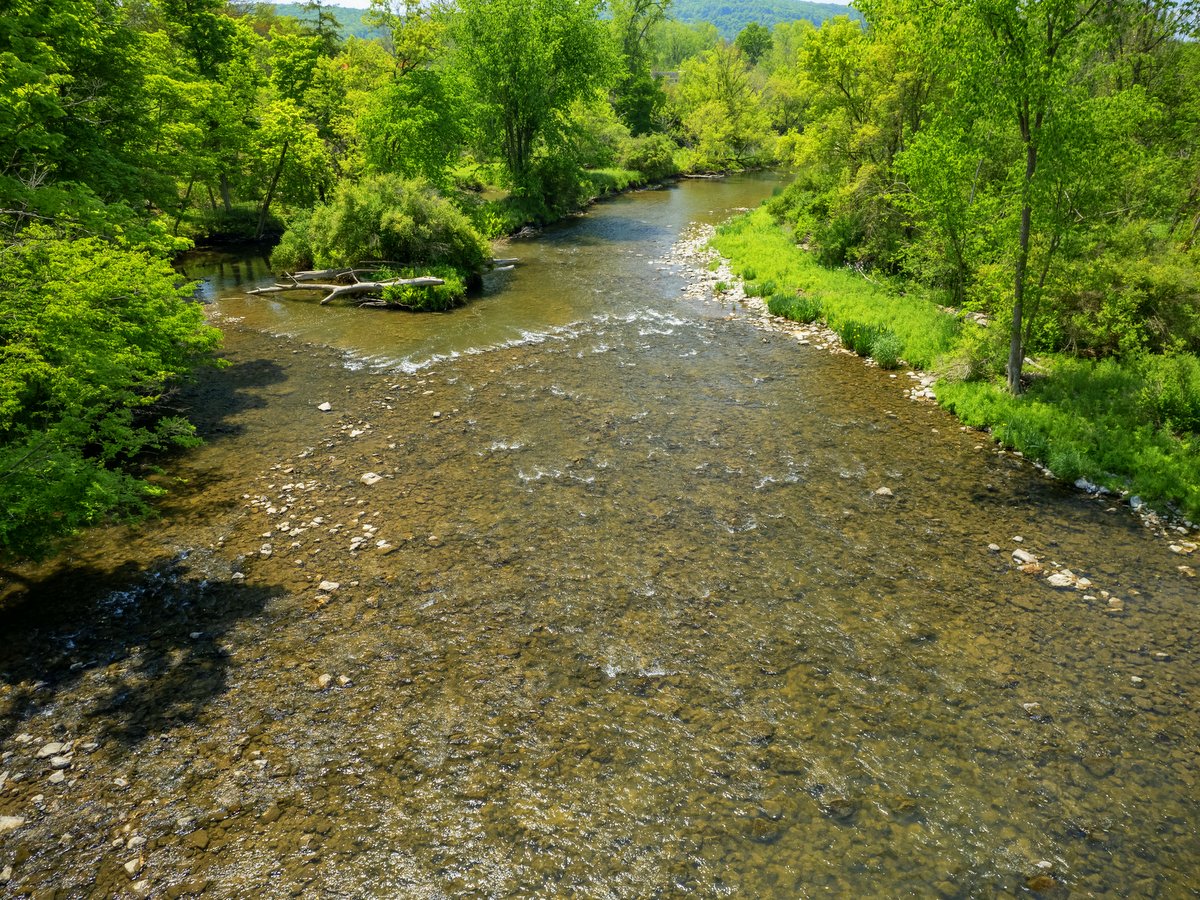 A rocky creek bordered by green vegetation