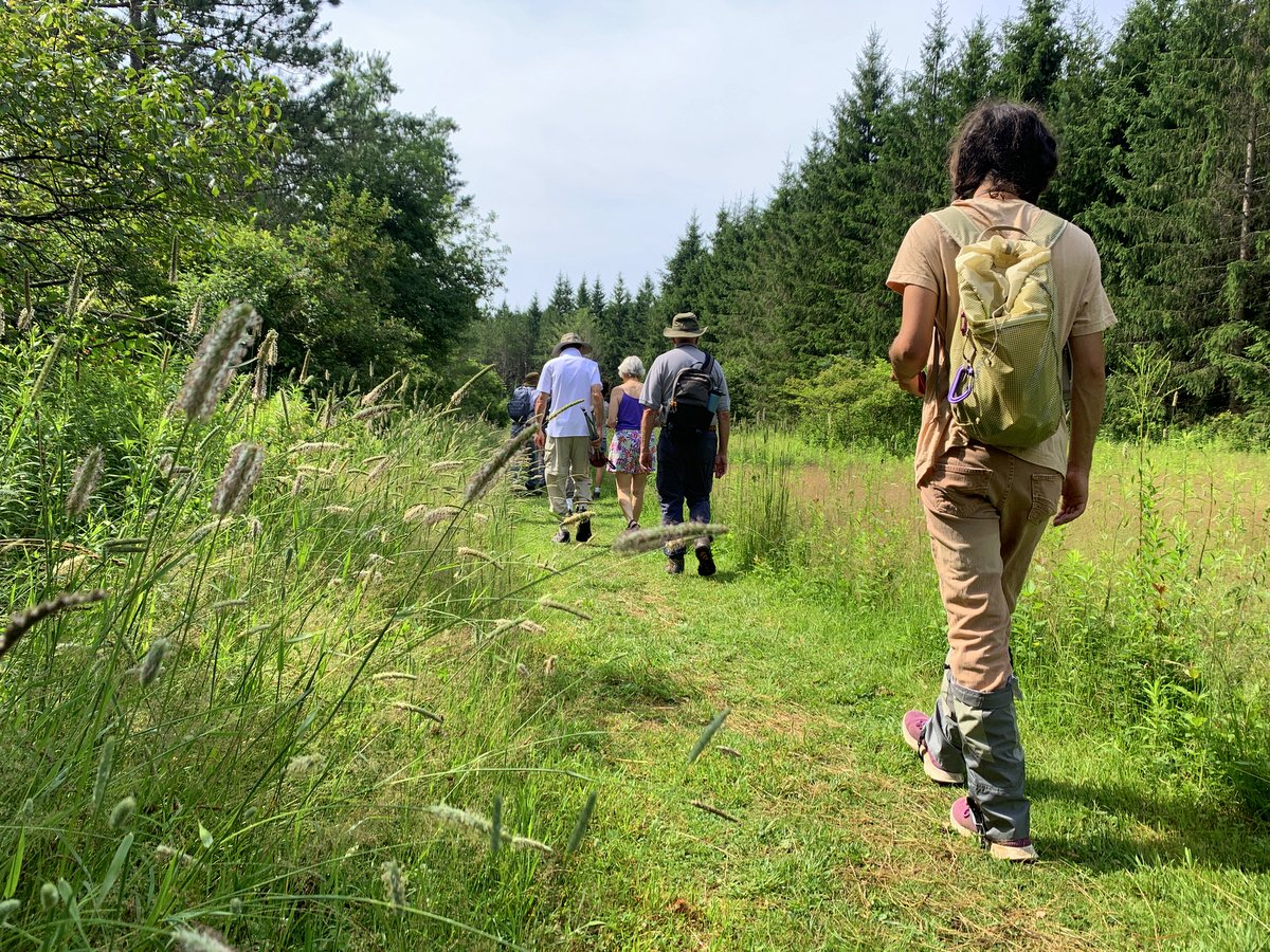 People walking on a grassy trail