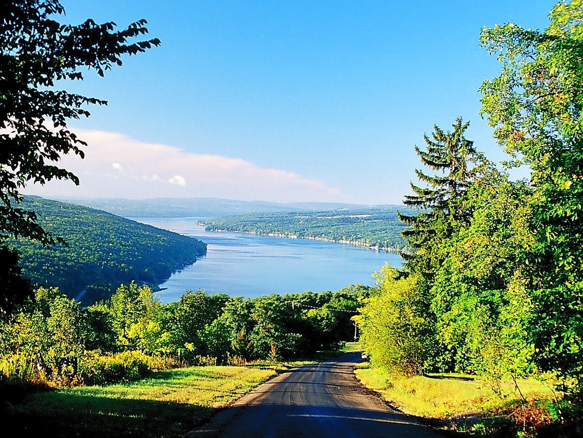 The view of a lake from an approaching road