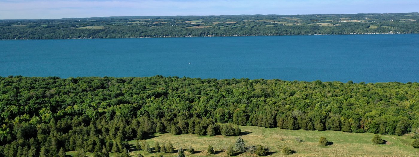 Finger Lakes Land Trust to Convert Former Golf Course to Wildlife