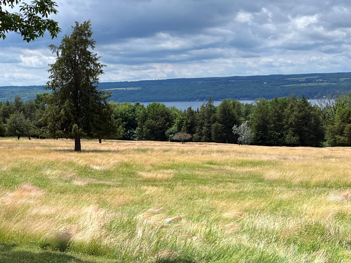 A meadow with woodlands and a lake in the distance