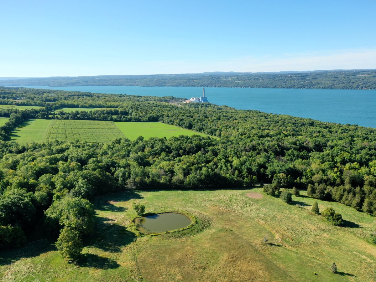 An aerial view of fields and woodland overlooking a lake