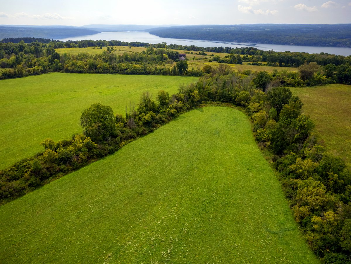 An aerial view of fields and hedgerows with a lake in the distance