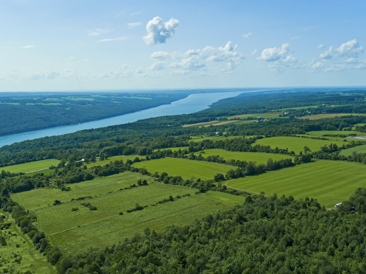 An aerial view of farmland with a lake in the distance