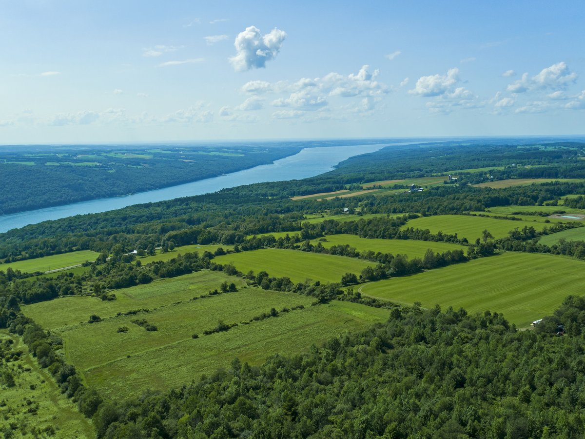 An aerial view of farmland with a lake in the distance