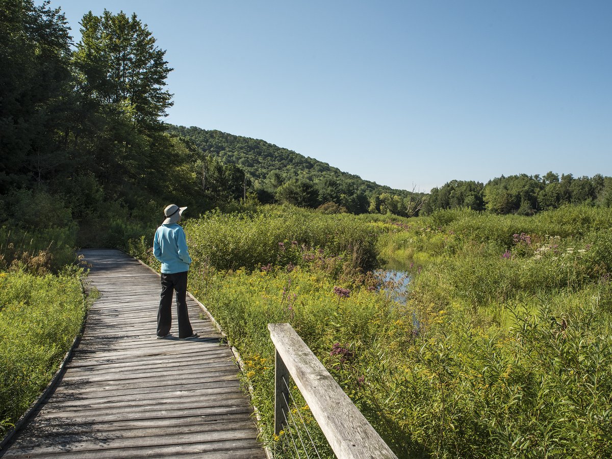 A person standing on a wooden boardwalk in a nature preserve