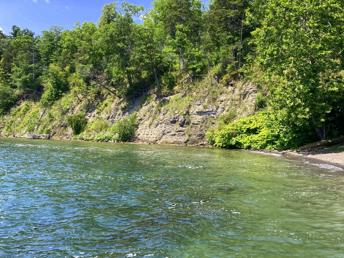 An undeveloped cove on a lake