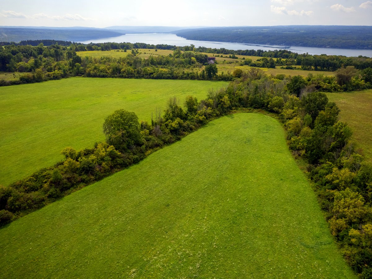 An aerial view of fields with a lake in the distance