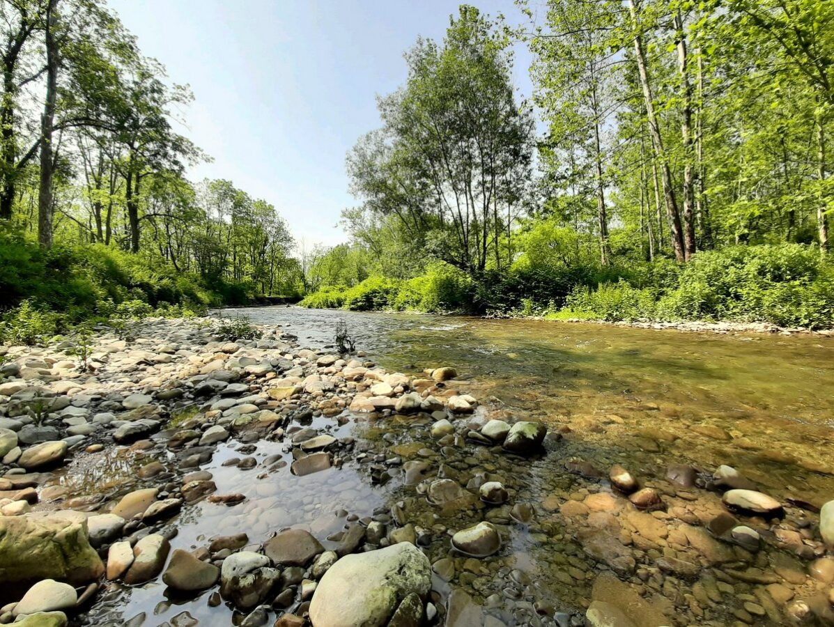 A rocky creek