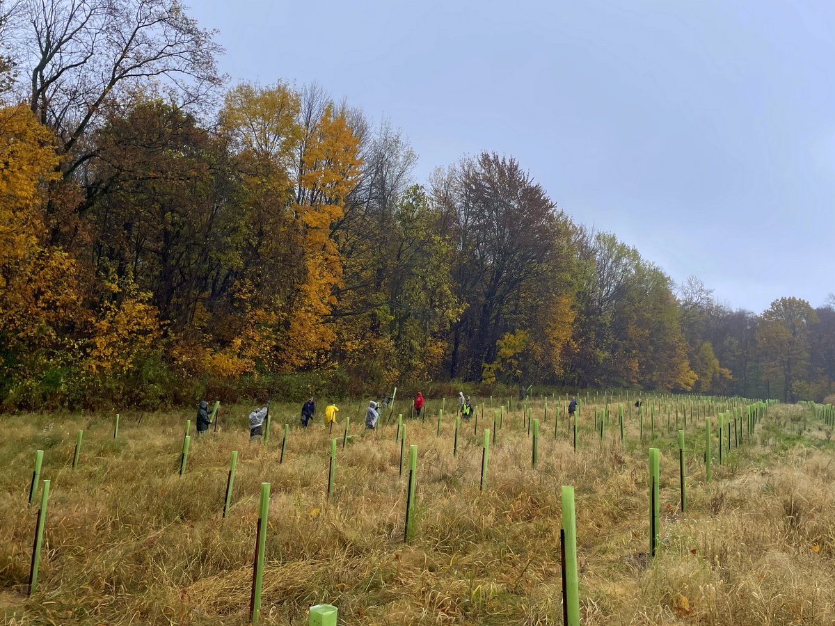 People planting trees in a field 