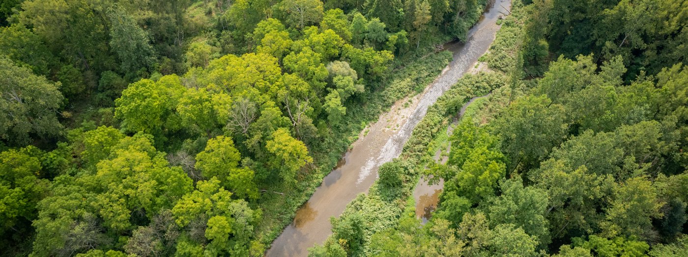 Finger Lakes Land Trust Expands Salmon Creek Bird Sanctuary in Tompkins