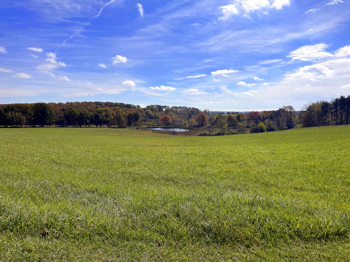 A large field with a pond in the distance