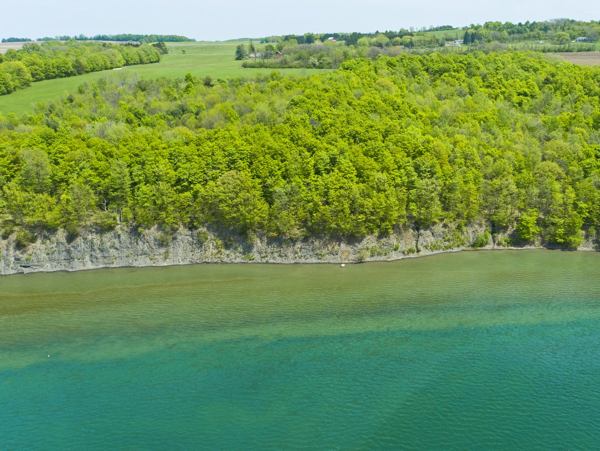 An aerial view of a forested hillside above lakeside cliffs with farmland in the distance