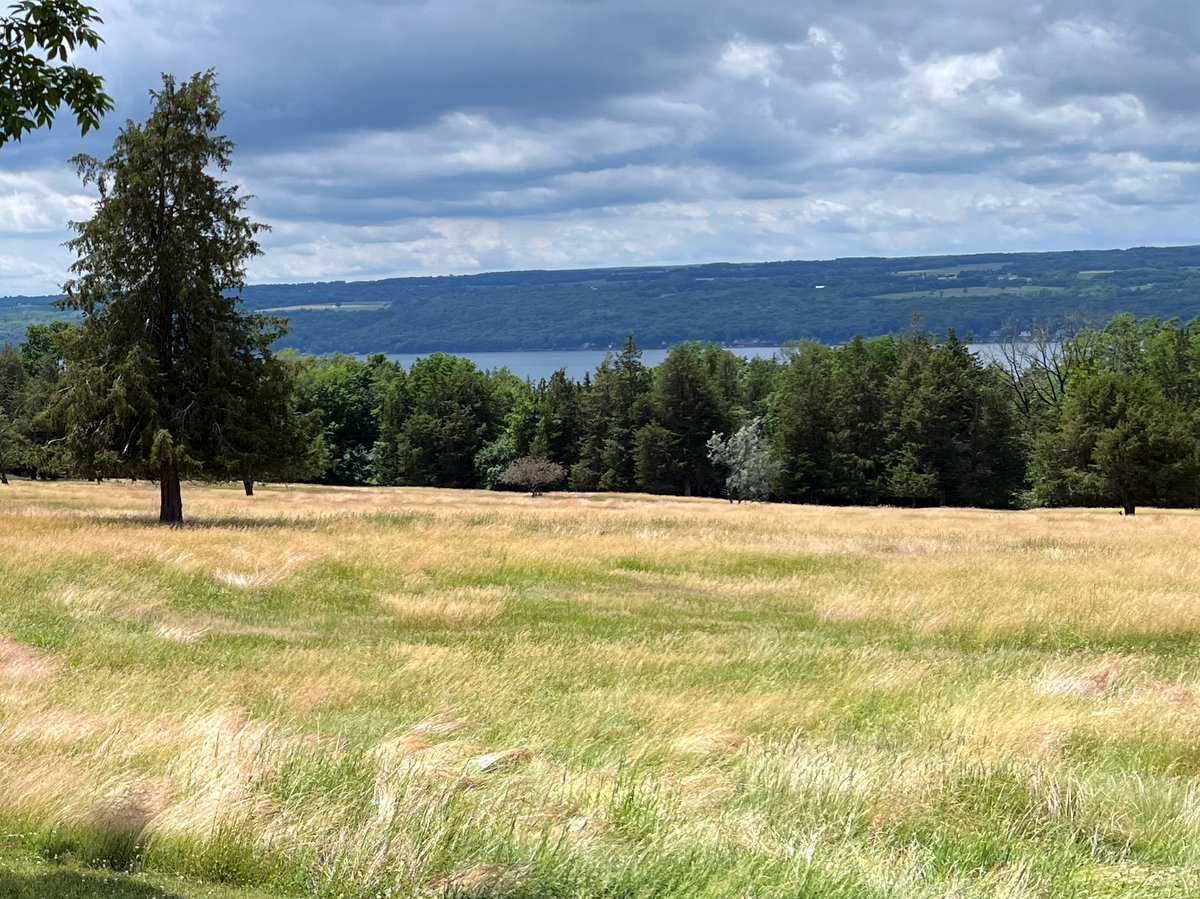 A view of a meadow and treeline with a lake in the distance