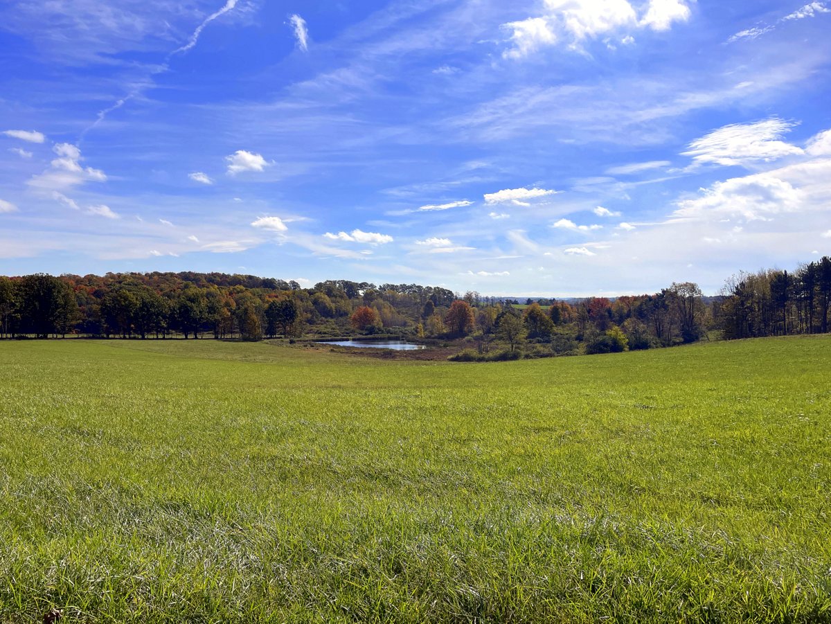 A view of an open field with a pond in the distance