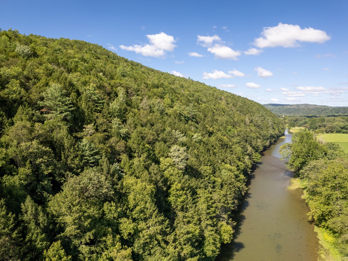 A forested hillside and small river