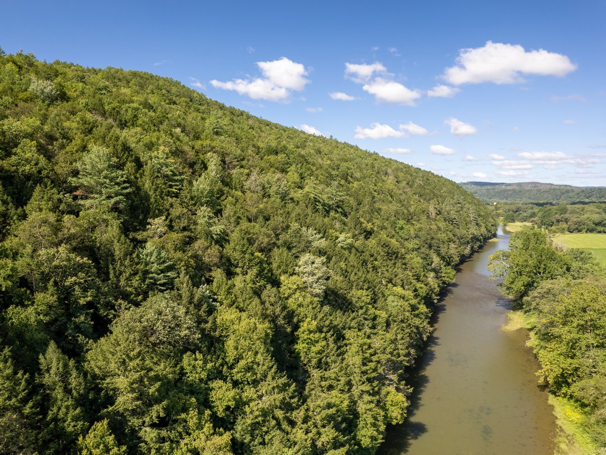 An aerial view of a forested hillside and river