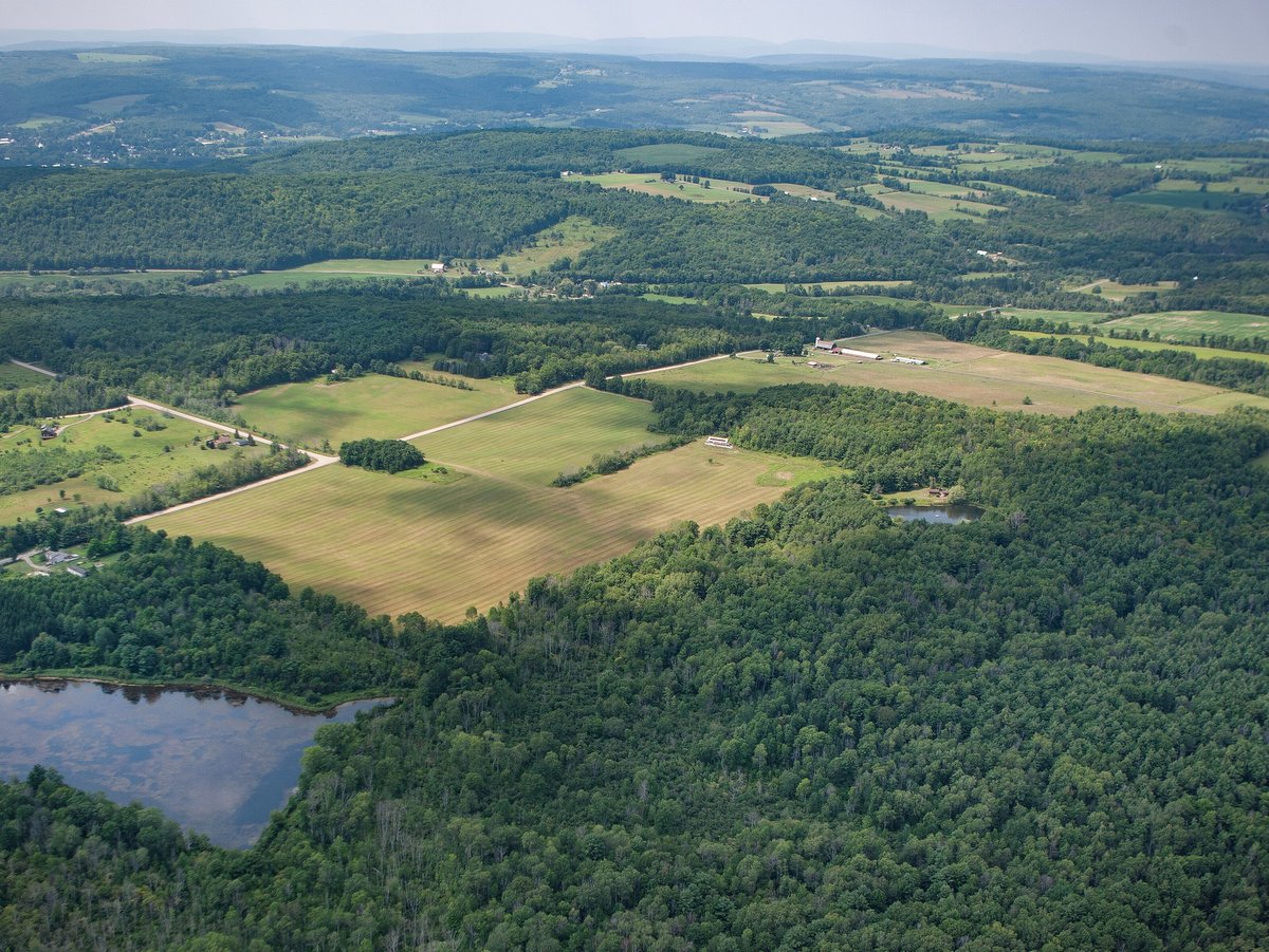 An aerial view of forest and open fields