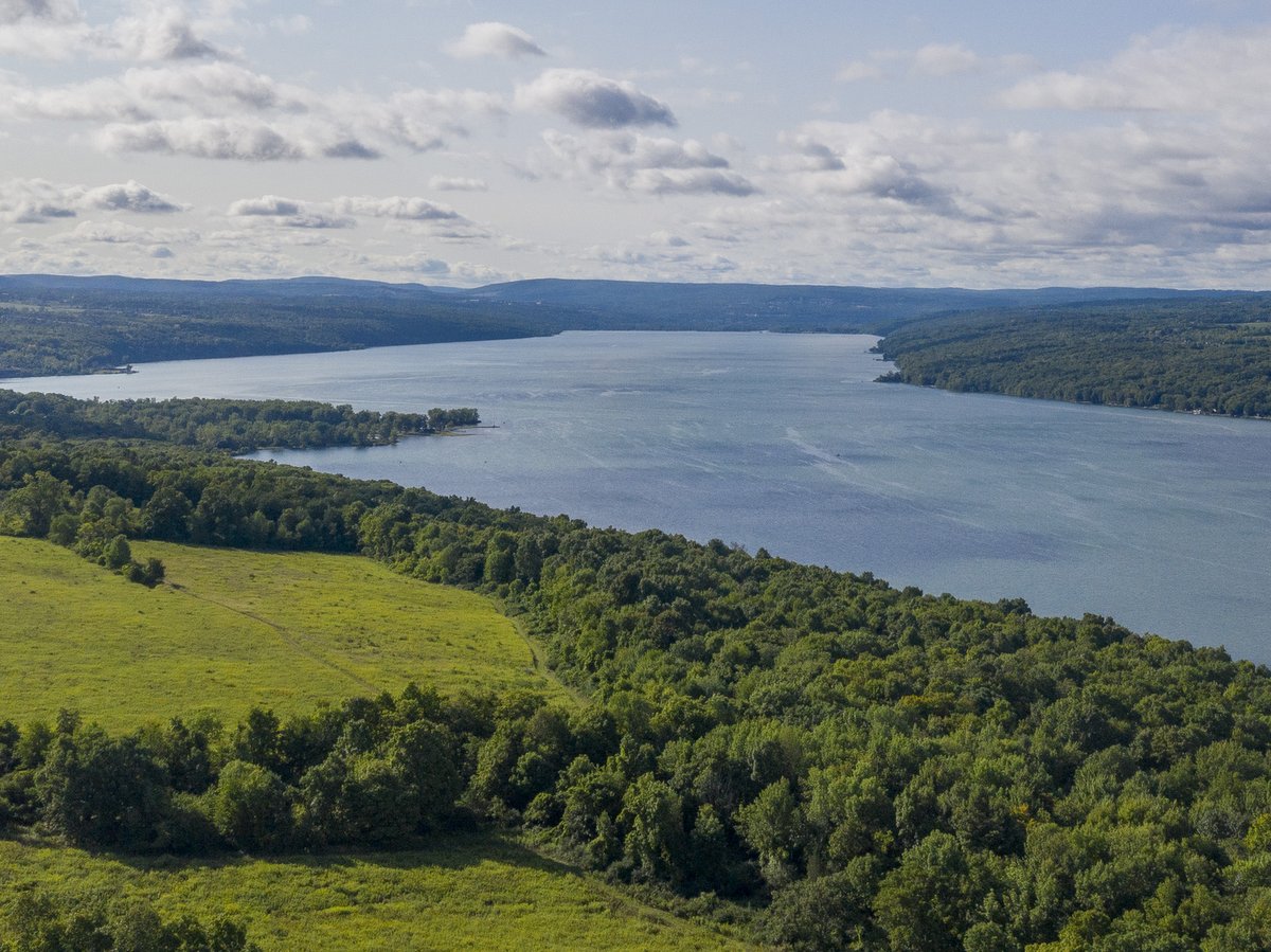 An aerial view of a lake and surrounding land