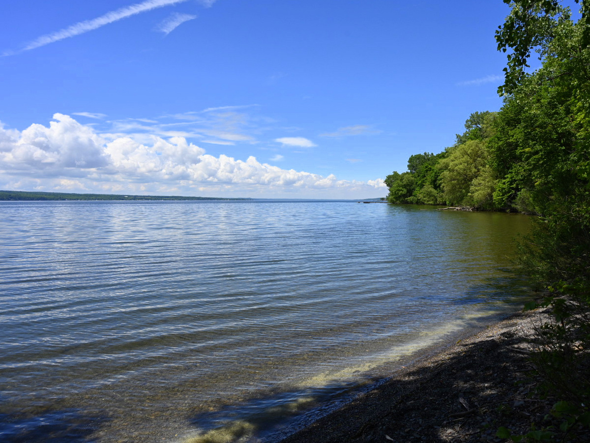 The shore of a lake