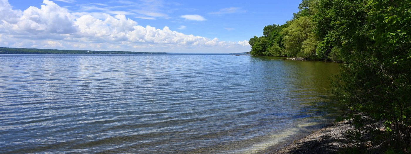 Governor Hochul Announces Creation of Cayuga Shores Wildlife Management