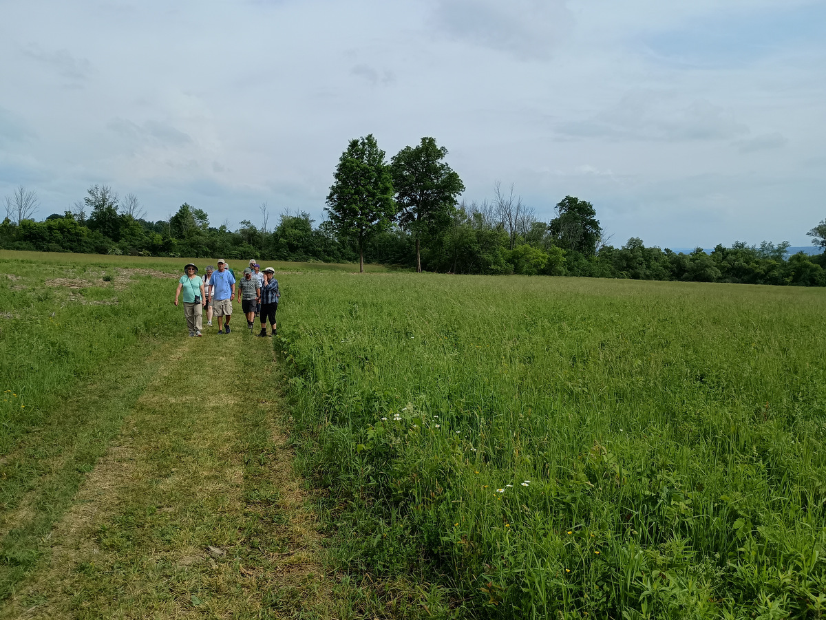 People walking on a grassy trail